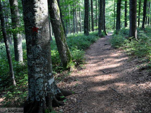Rundweg zum Ort der letzten Schlacht des Pohorje-Bataillon